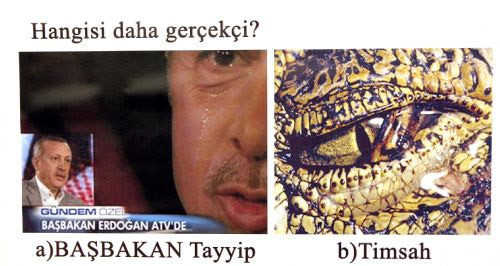 CHP'den olay AK Parti sergisi - Resim: 2