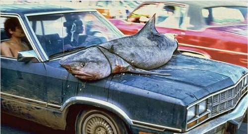 Bu kareler tık rekoru kırıyor! - Resim: 3