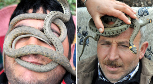 Bu yılanlar her derde deva - Resim: 1