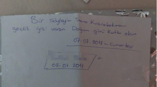 İşitme engelli kadına tecavüz etmişti! Babası oğlunu aklamak için... - Resim: 2
