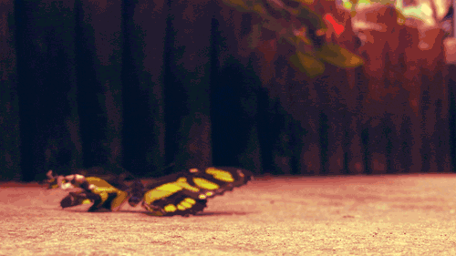 Bu fotoğraflar capcanlı - Resim: 2