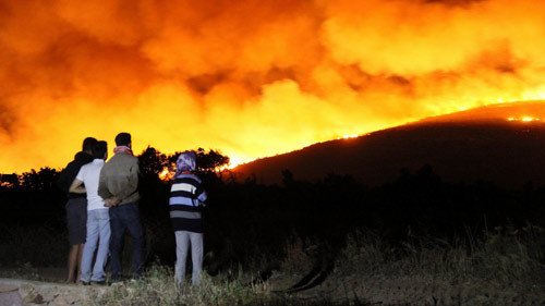 Tatil cenneti alevlere teslim! - Resim: 1