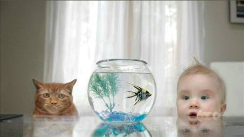 En ilginç kareler! - Resim: 3