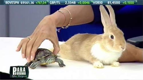 Görülmedik program - Resim: 2