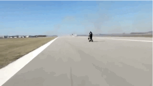 Günün en beğenilen gifleri - Resim: 2