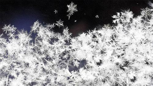 Bu soğuklar bize gelir mi? - Resim: 3