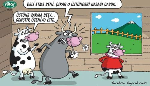 En çok güldüren karikatürler - Resim: 6