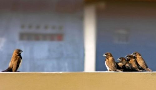 Günün en çok bakılan kareleri  - Resim: 4