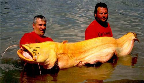 Görenler şaşkına döndü - Resim: 4