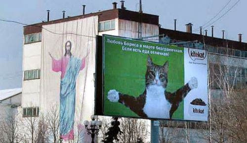 Bu karelerin hepsi çok komik! - Resim: 2