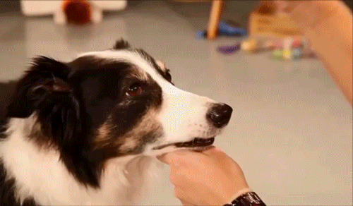 Bu gifler sizi çok şaşırtacak - Resim: 3