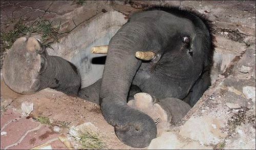 Bu kadar da olmaz dedirten kareler - Resim: 1