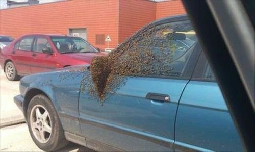 Canlarını hiçe sayan insanlar! - Resim: 3