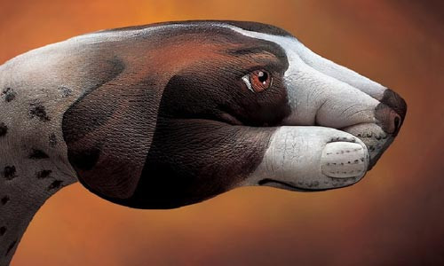 Sanat ile yaratılmış eller! - Resim: 3