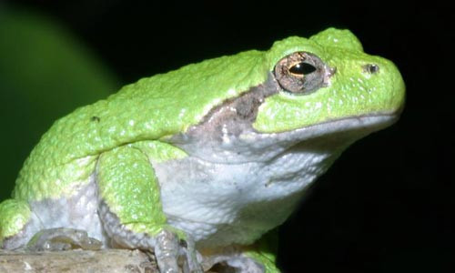 Bazılarının işi bazılarının damak tadı!  - Resim: 3