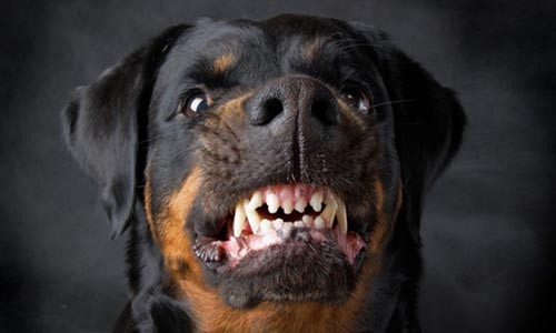 İnsanları en çok korkutan 10 şey! - Resim: 2