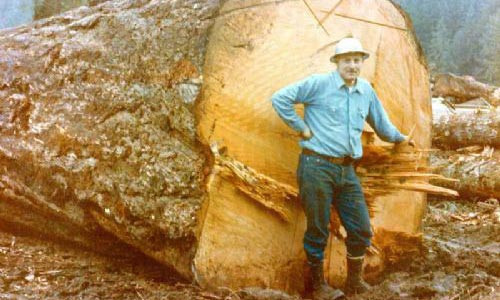 Bu hafta en çok bunlara baktık - Resim: 2