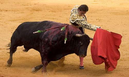 Hayvanlar ve bilinmeyen yönleri - Resim: 1