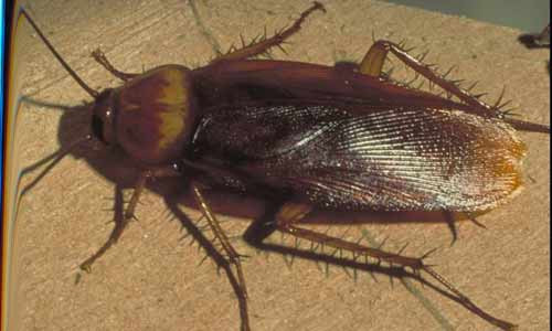 Bu detayları biliyor musunuz? - Resim: 1