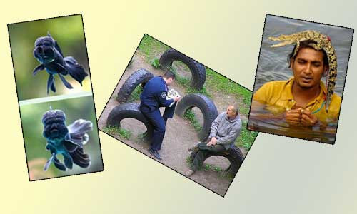 Günün rekor kıran bomba kareleri - Resim: 1