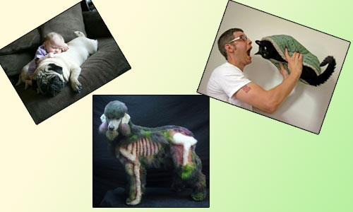 Günün en ilginç fotoğraf kareleri! - Resim: 1