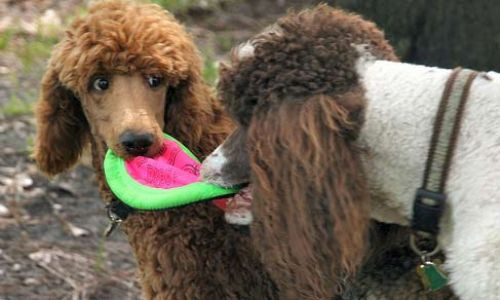 Günün en güzel kareleri - Resim: 1