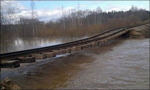 Canlarını hiçe sayan insanlar! - Resim: 2