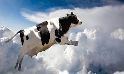 Başlarına bir taş yağmadığı kaldı - Resim: 4