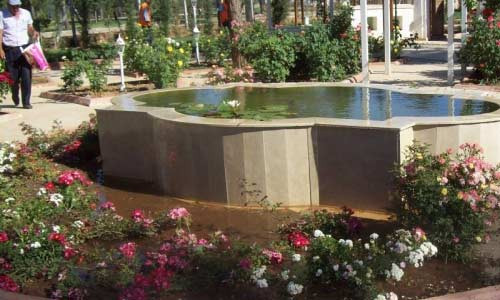 Antep'in dillere destan botanik bahçesi - Resim: 2