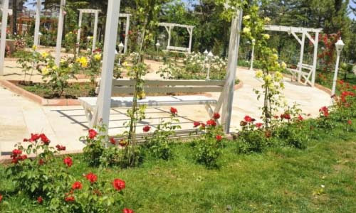 Antep'in dillere destan botanik bahçesi - Resim: 4