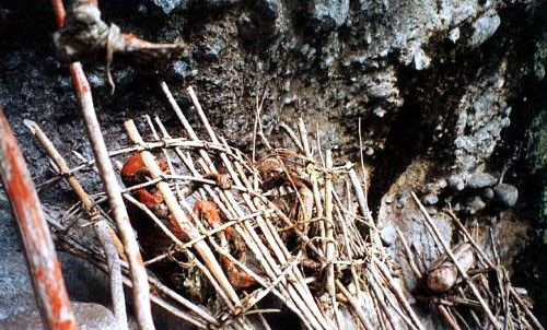 Papua Yeni Gine'de korkunç gelenek - Resim: 4