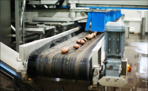 Cips nasıl yapılır? - Resim: 2