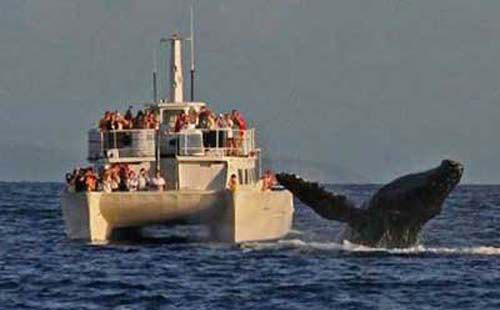 Dünyadan komik fotoğraflar - Resim: 1