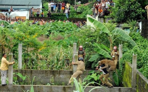 Arkadaşını leoparın ağzından aldı - Resim: 4