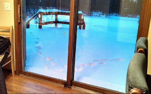 Gerçekte yaşanan en korkunç olaylar - Resim: 2