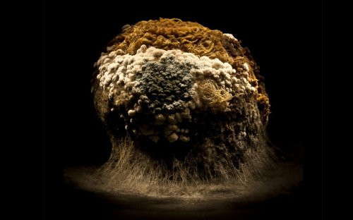 Yediklerinize bir de böyle bakın - Resim: 1