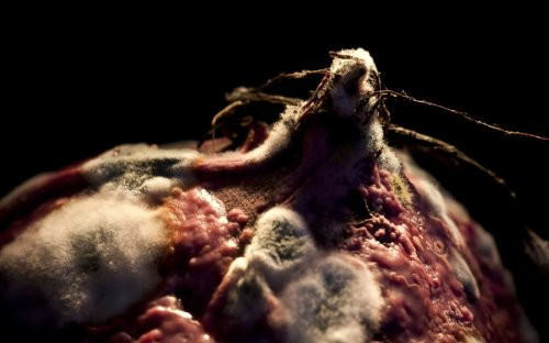 Yediklerinize bir de böyle bakın - Resim: 3