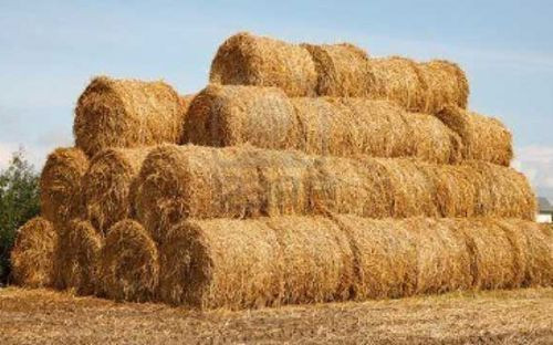 'Sakla samanı, gelir zamanı' sözü gerçek oldu! - Resim: 2