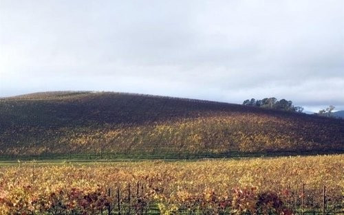 O manzaranın son hali sizi çok şaşırtacak - Resim: 4