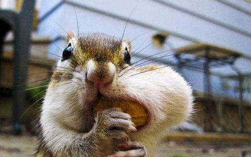 Nefes nefese hayati mücadele! - Resim: 4