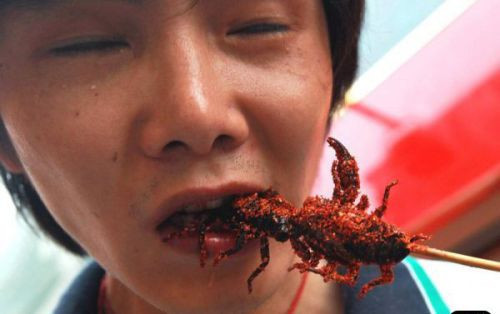 Böcek değil yemek! - Resim: 1