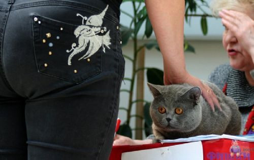 En rezil olduğu anlarda böyle yakalandı - Resim: 4