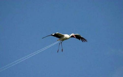 Bu haftanın en ilginç fotoğraf kareleri! - Resim: 4