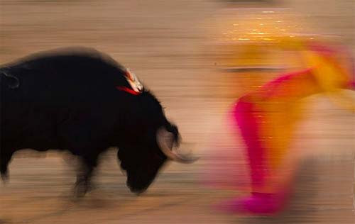 Günün fotoğrafları - Resim: 2