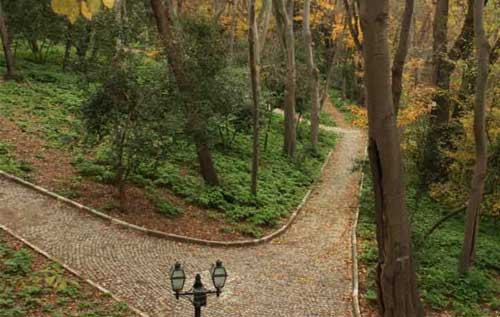 Valilikten İstanbullu çiftlere öneriler! - Resim: 3