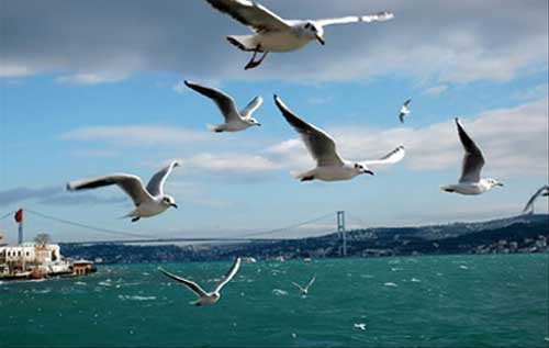 Valilikten İstanbullu çiftlere öneriler! - Resim: 4