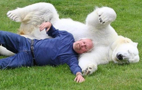 Kim demiş ayıdan dost olmaz - Resim: 4