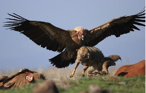 Seçilmiş fotoğraflar  - Resim: 1
