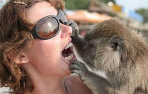 Güldüren kareler - Resim: 1