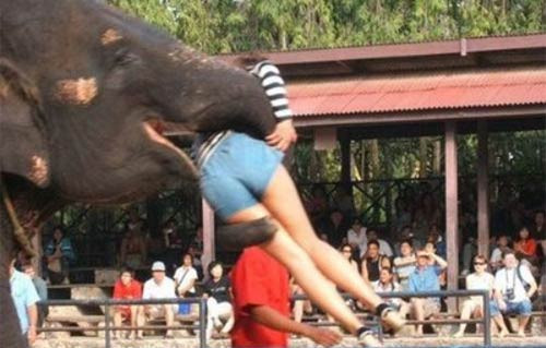 Güldüren kareler - Resim: 3